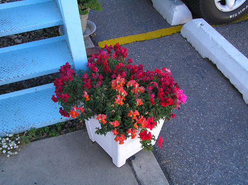 Hiway House Motel Albuquerque Eksteriør bilde